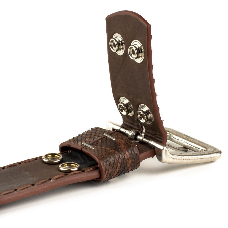belt-1020-in-castana-python2